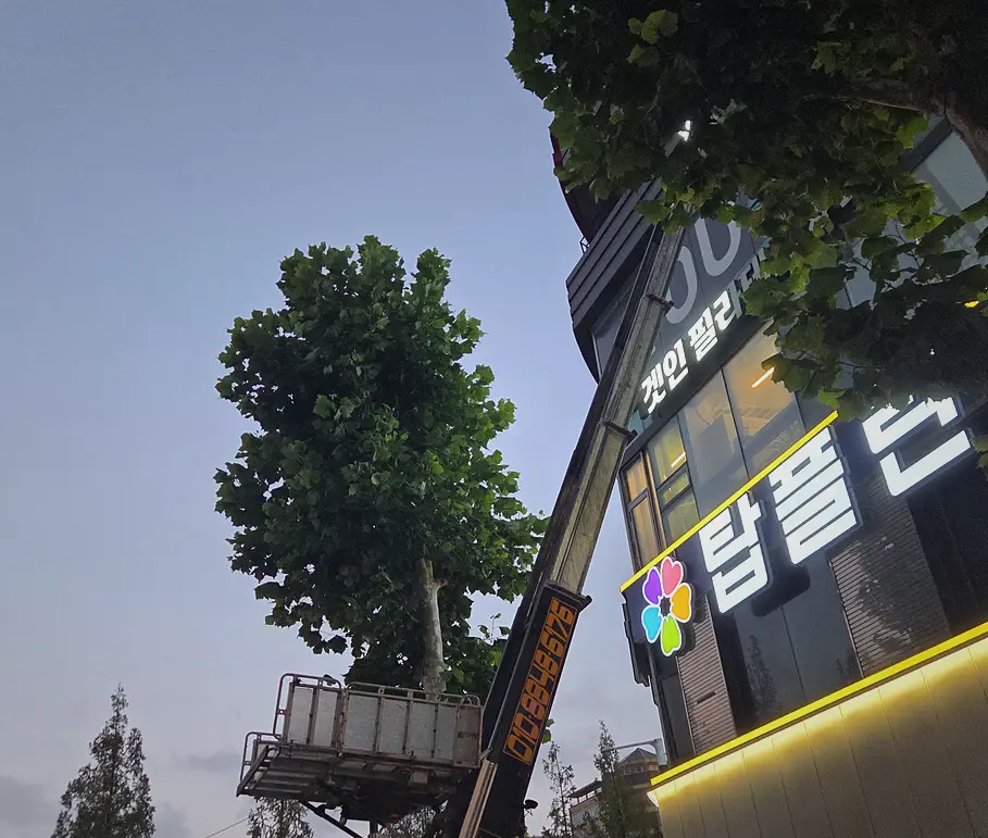 금천구 식당 빈집청소 전문 유품정리·고독사 현장